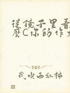 从镜子里看我怎么C你的作文