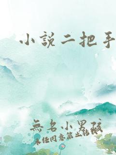 小说二把手