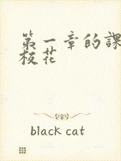 第一章的课上强校花