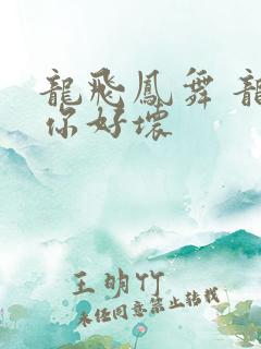 龙飞凤舞 龙王你好坏
