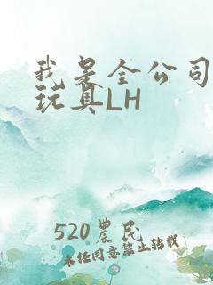 我是全公司发泄玩具LH
