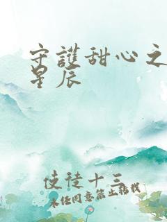 守护甜心之暗夜星辰