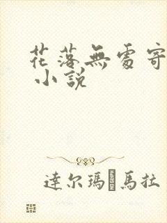 花落无处寄相思 小说