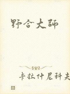 野合大师