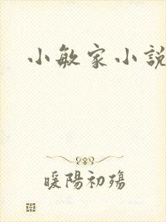 小敏家小说