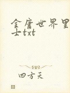 金庸世界里的道士txt