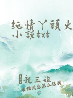 纯情丫头火辣辣小说txt