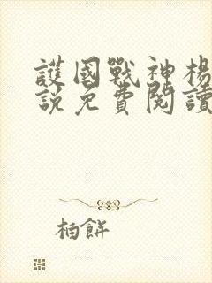 护国战神杨风小说免费阅读