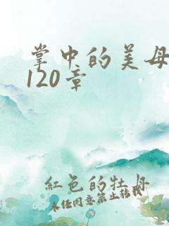 掌中的美母版主120章