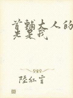 首辅大人的白月光是我