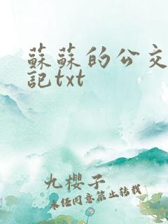 苏苏的公交车日记txt