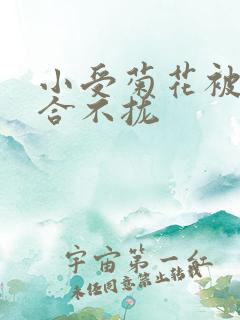 小受菊花被双龙合不拢