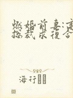 燃婚前妻:高冷总裁求复合