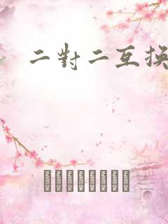 二对二互换共享