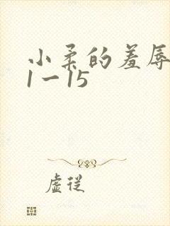 小柔的羞辱日记1一15
