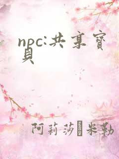 npc:共享宝贝
