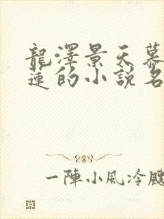 龙泽景天慕容青莲的小说名字