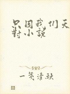 只因我们天生一对小说