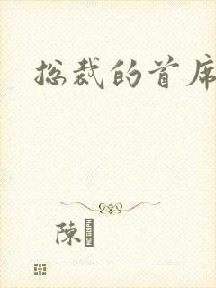 总裁的首席保姆