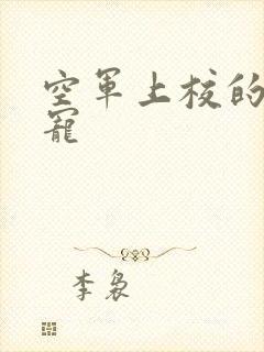 空军上校的邪魅宠