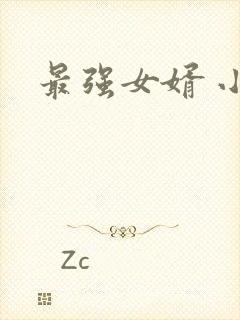 最强女婿 小说