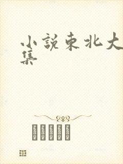 小说东北大炕全集