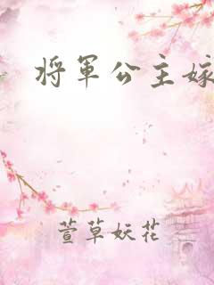 将军公主嫁到