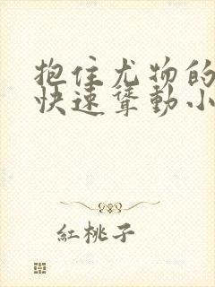 抱住尤物的翘臀快速耸动小说