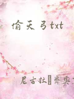 偷天弓txt