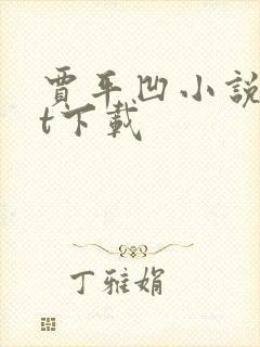 贾平凹小说txt下载