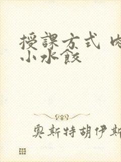 授课方式 肉馅小水饺
