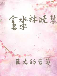 金水林晓慧小说名字