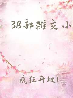 38部杂交小说