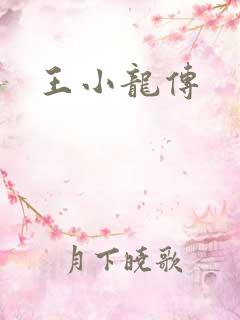 王小龙传