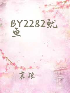 BY2282鱿鱼