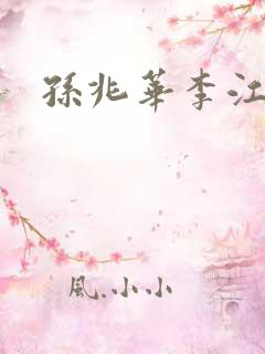 孙兆华李江小说