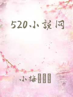 520小说网