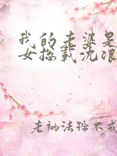 我的老婆是冰山女总载沈浪