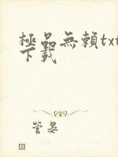 极品无赖txt下载