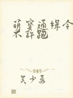 萌宝通缉令妈味不许跑