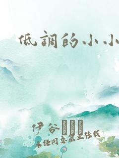 低调的小小宫女