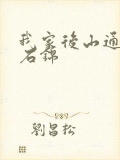我家后山通仙界石锦