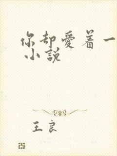 你却爱着一个他 小说