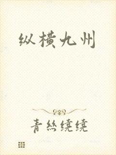 纵横九州