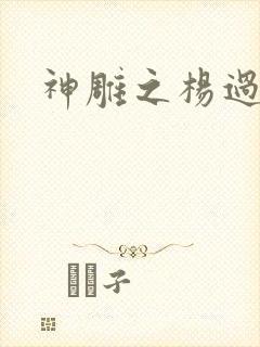 神雕之杨过新传