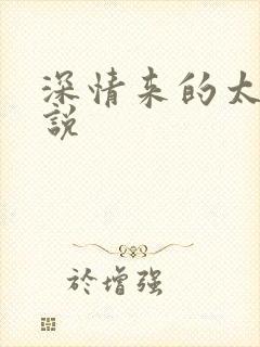 深情来的太迟小说