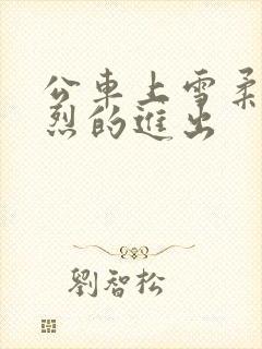 公车上雪柔被猛烈的进出