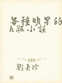 各种明星的综艺h版小说