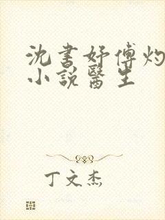 沈书妤傅灼抖音小说医生