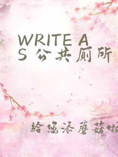 WRITE AS 公共厕所